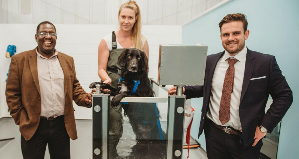 Former swimming instructor making a splash with Fit4Dogs